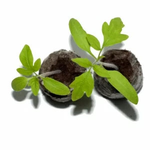 Торфяные таблетки "Jiffy" (41 мм/20табл. в уп.)