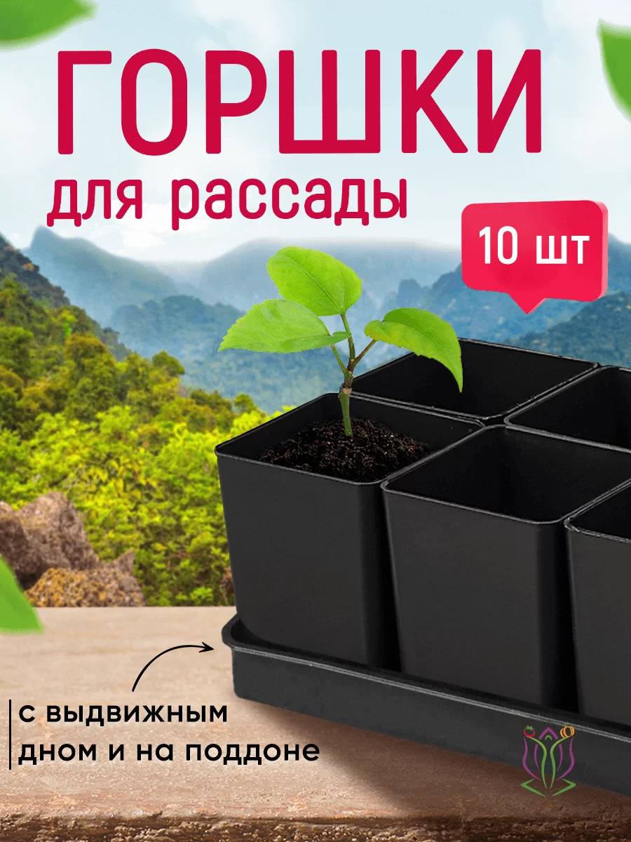 Набор для рассады с выдвижным дном
