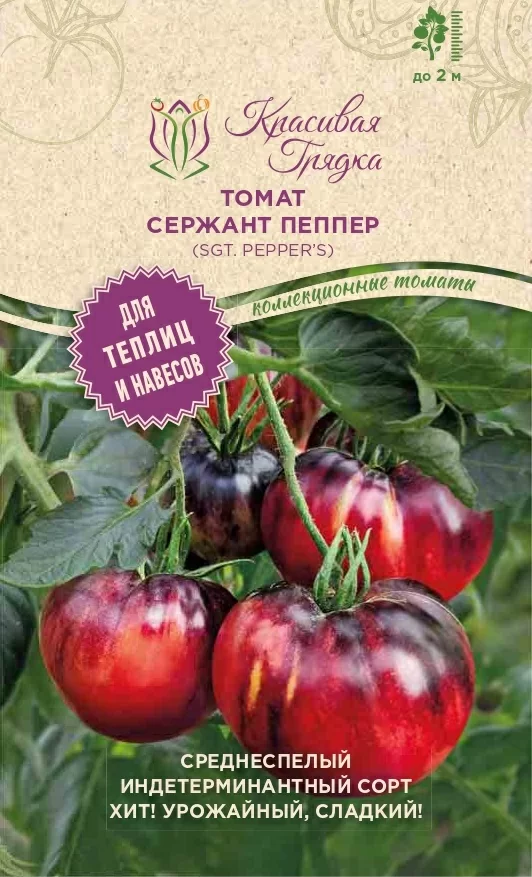 Томат Сержант Пеппер (Sgt. Pepper)