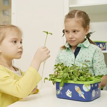 Набор для проведения опытов (для детей старше 5 лет)