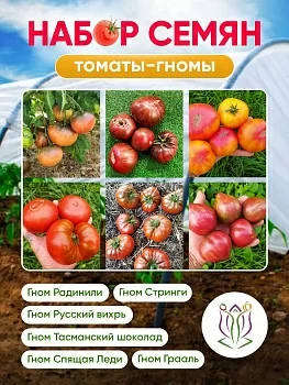 Набор семян "Томаты-гномы"